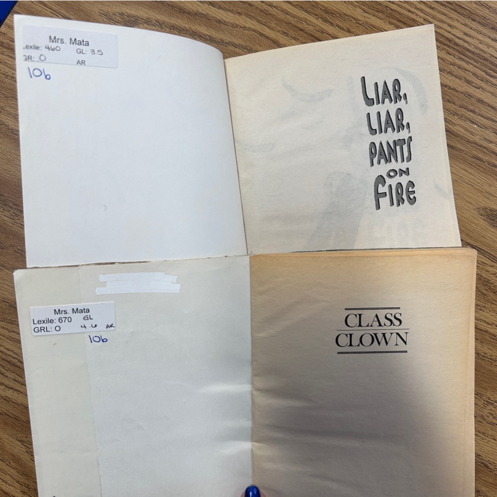 Assorted Children's Books Collection - Picture 9 of 13
